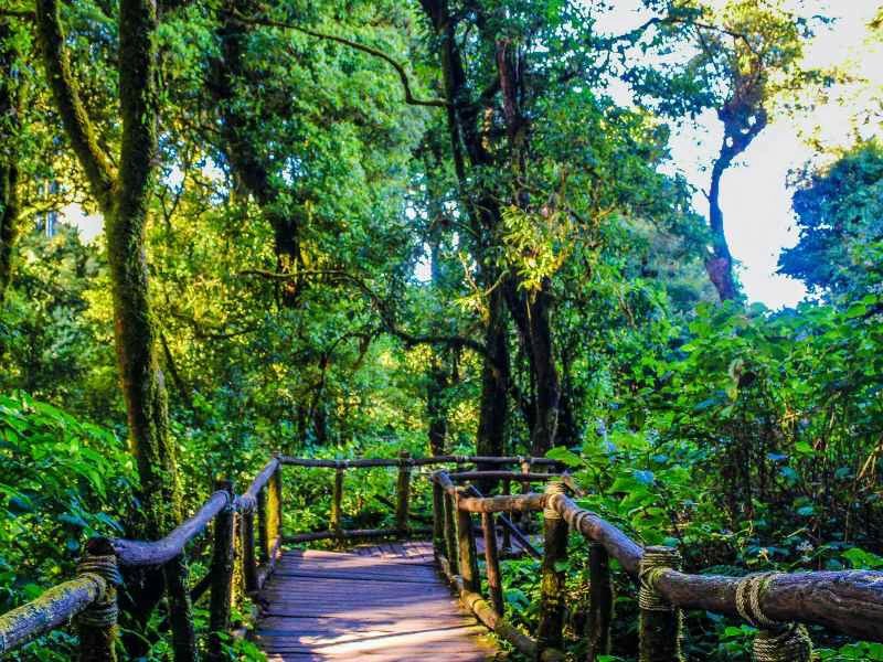 thailand chiang mai excursie natuur