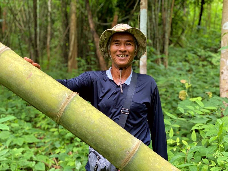 Lachende man met hoed leunt tegen een dikke bamboestam in een dichtbegroeide jungle.