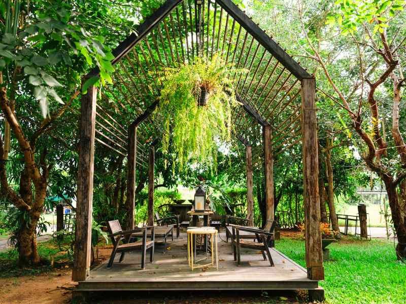 Houten terras met open geraamte van een overkapping, omringd door bomen en groen, met stoelen, kleine tafels en een hangplant in het midden.