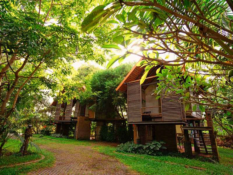 Twee houten huisjes op palen tussen weelderige groene bomen, verbonden door een pad van klinkers met zonlicht dat door het bladerdak valt.
