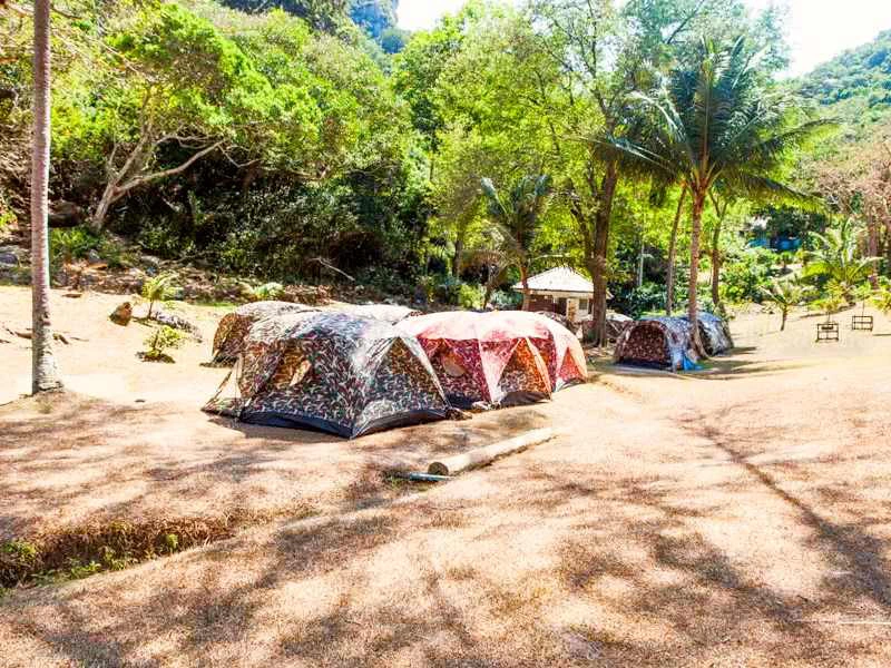 Groep camouflagekleurige tenten op een open kampeerterrein omringd door tropisch groen, met palmbomen en een wit prieeltje op de achtergrond.