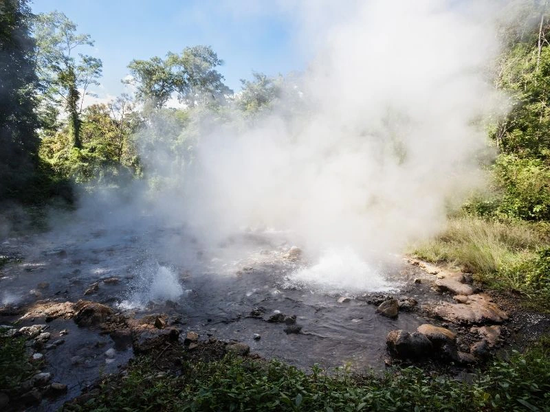 Stoom stijgt op uit een warmwaterbron omringd door bosrijk gebied.