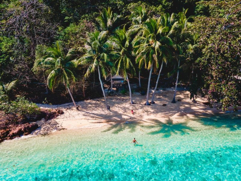 Turquoise zee met een zwemmer vlak voor een wit zandstrand, omzoomd door hoge palmbomen en dichte jungle op de achtergrond.