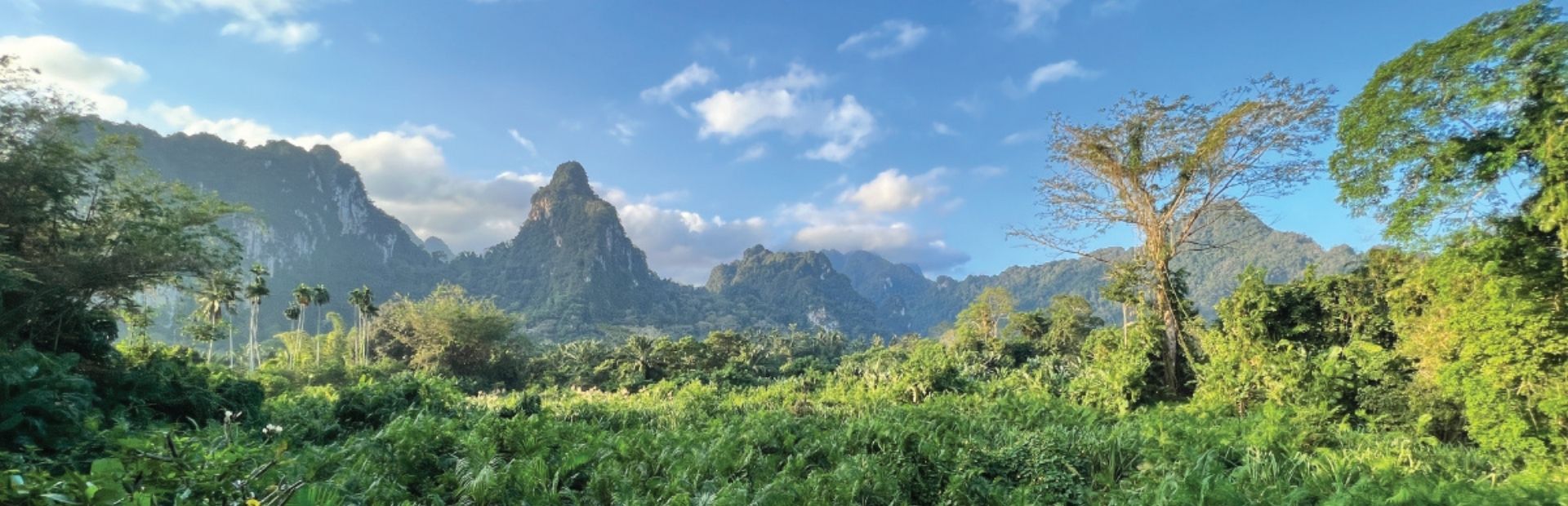 Khao Sok uitzicht over groenen natuur en bergen