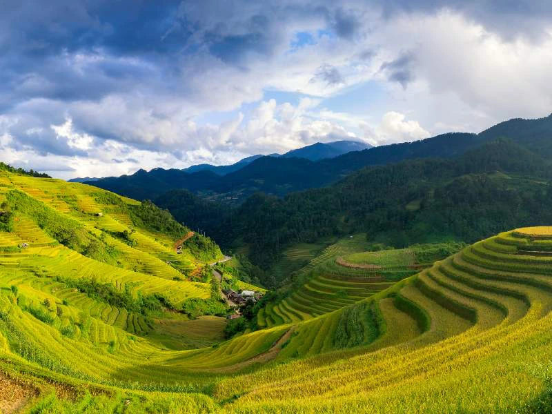 Mu Cang Chai