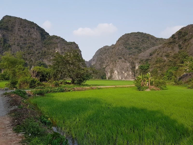 Karstbergen bij Ninh Binh Vietnam