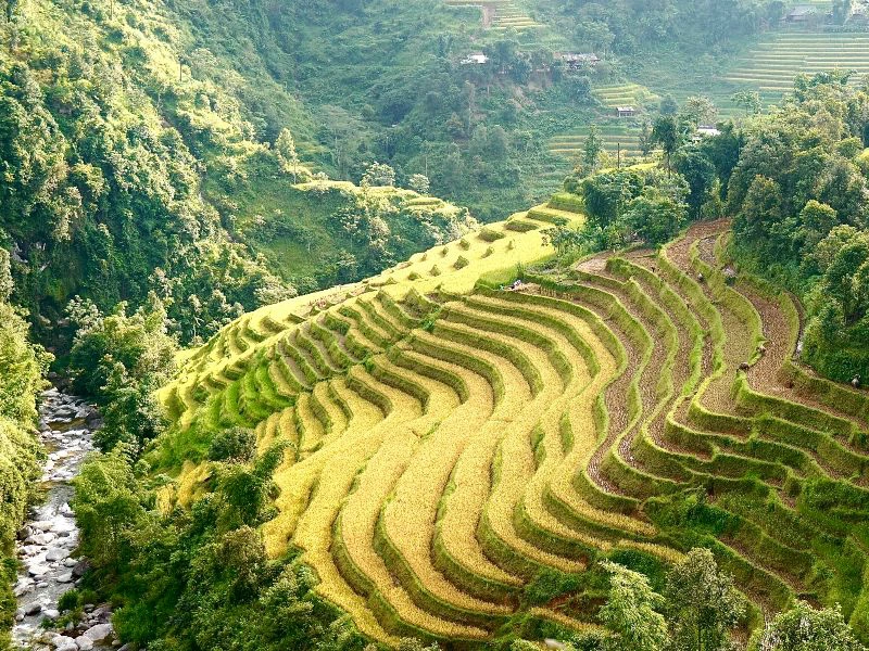 pan hou wandelen vietnam 2