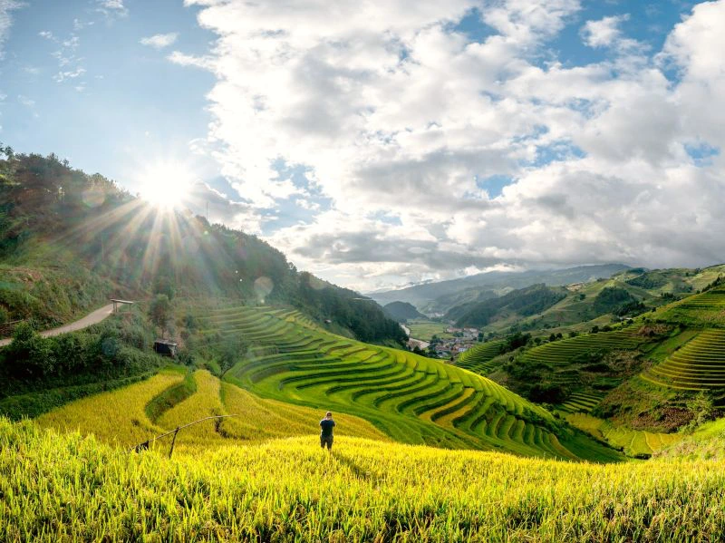 Mu-Cang-Chai-rijstvelden-Vietnam