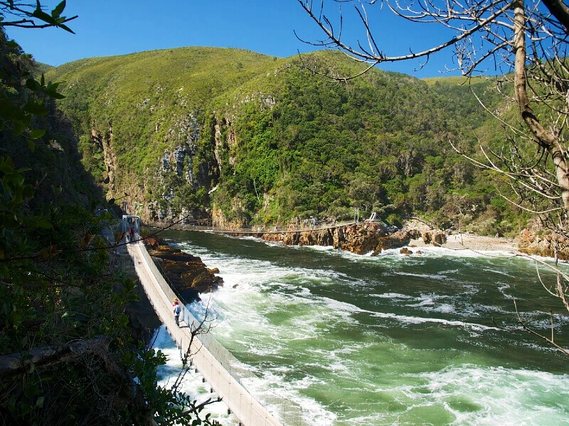 Beste reistijd Zuid-Afrika, tsitikamma