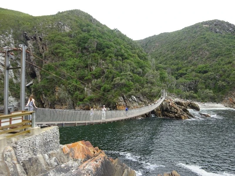 Leukste hikes in Zuid-Afrika National park Tsitsikamma
