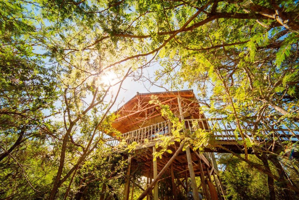 Pezulu treehouse lodge in Zuid-Afrika