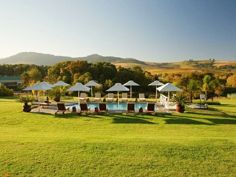 Stellenbosch - Cultivar - pool