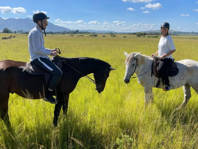 eSwatini paardrijden natuur koppel