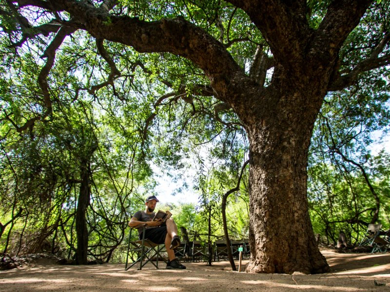 eSwatini - Mkhaya Game Reserve - natuur