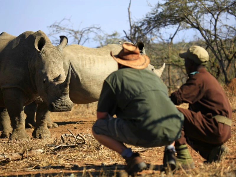 eSwatini - Mkhaya Game Reserve - wandelsafari