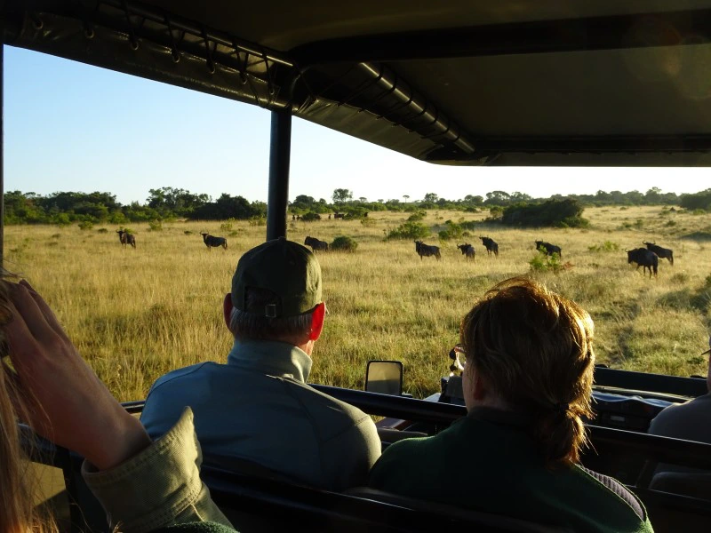 Game drive safari Zuid-Afrika