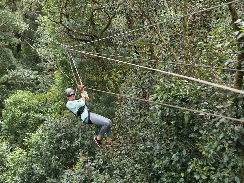 Zuid-Afrika Tsitsikamma ziplinen