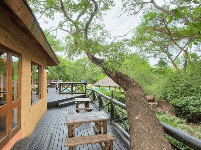 Bijzonder overnachten Zuid-Afrika natuur