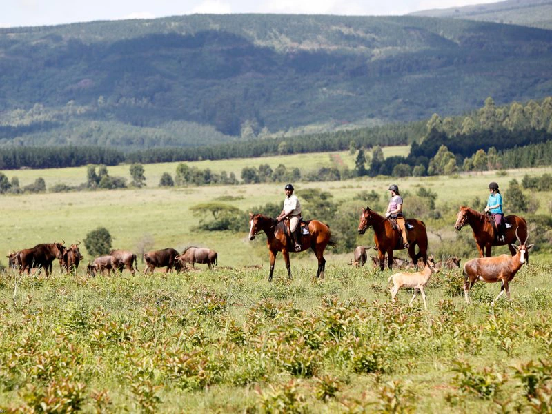 eSwatini paardrijden in Zuid-Afrika