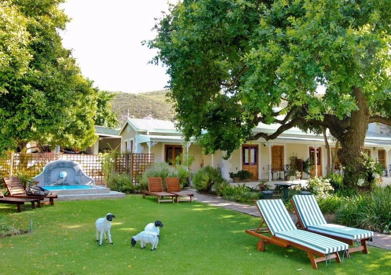 Tuin bij In stijl B&B Montagu