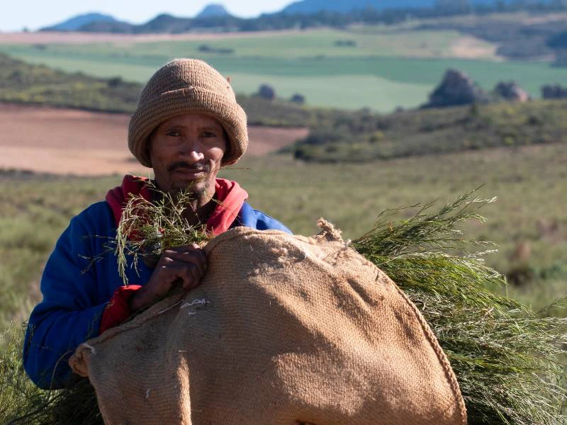 Cederberg Zuid-Afrika man met thee