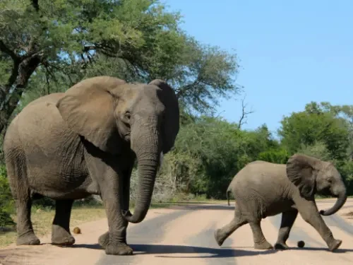 Zelf rijden door Zuid-Afrika met een huurauto? Het kan!