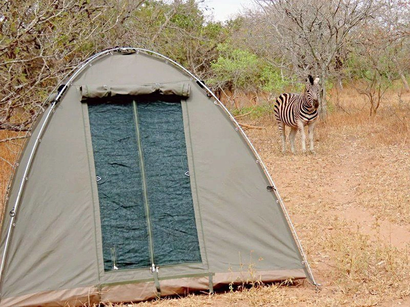 South Africa - Kruger Park - Thornhill Camp - tent