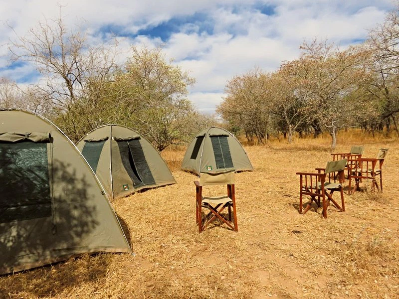South Africa - Kruger Park - Camp