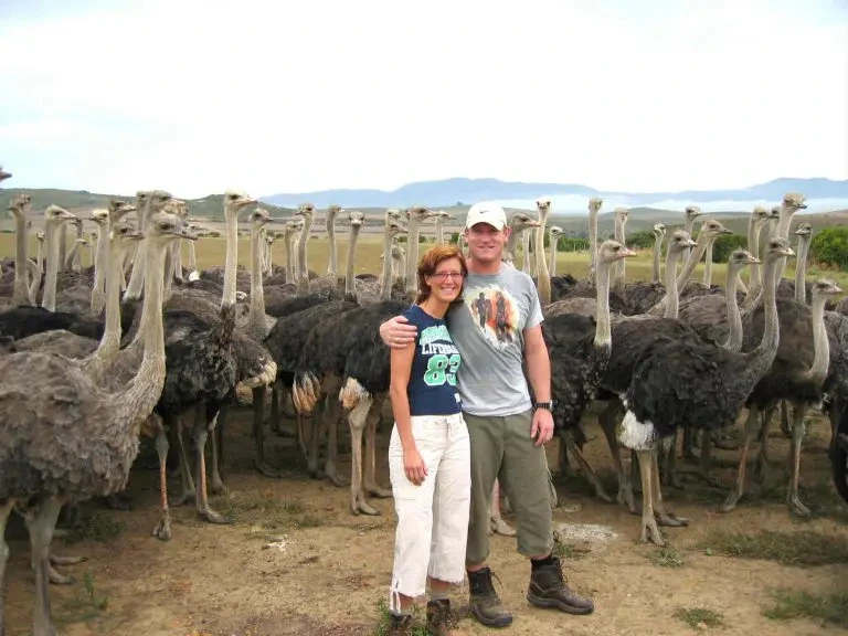 Waarom een nachtje bij de boer