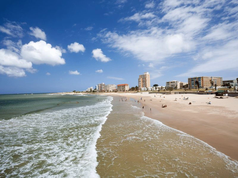 Beste stranden van Zuid-Afrika, Algoa Bay