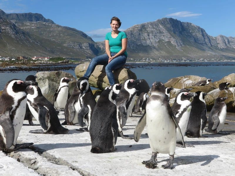 Kaapstad, vakantie Zuid-Afrika 2023