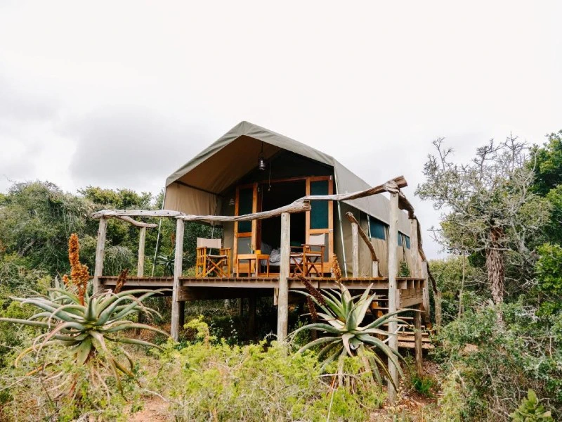 Bush lodge aan de Kaapse kust