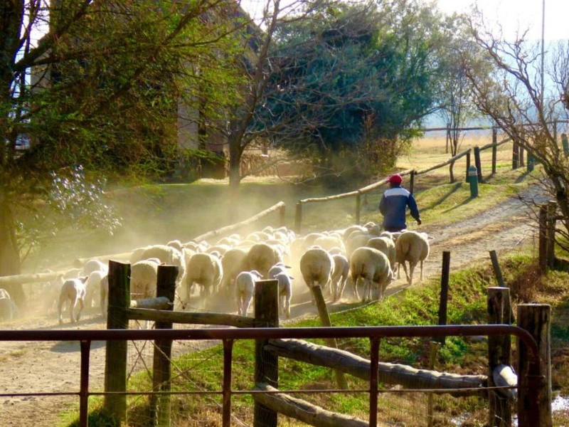 Knusse lodge in Drakensbergen