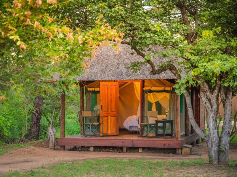 Tented camp bij Kruger