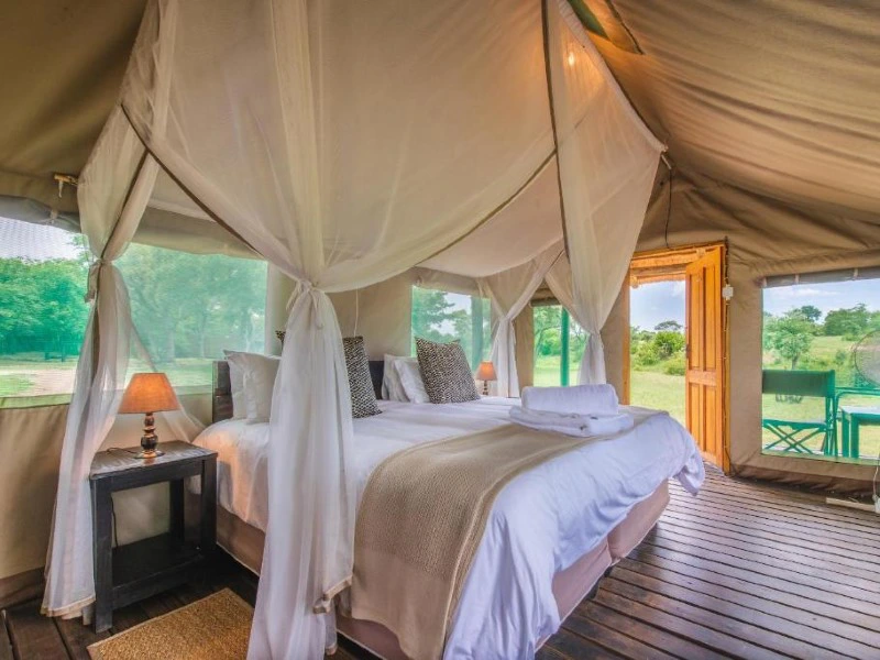 Tented camp bij Kruger