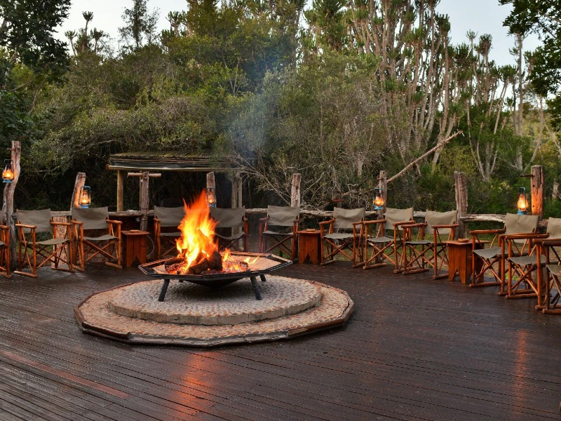 Bush lodge aan de Kaapse kust