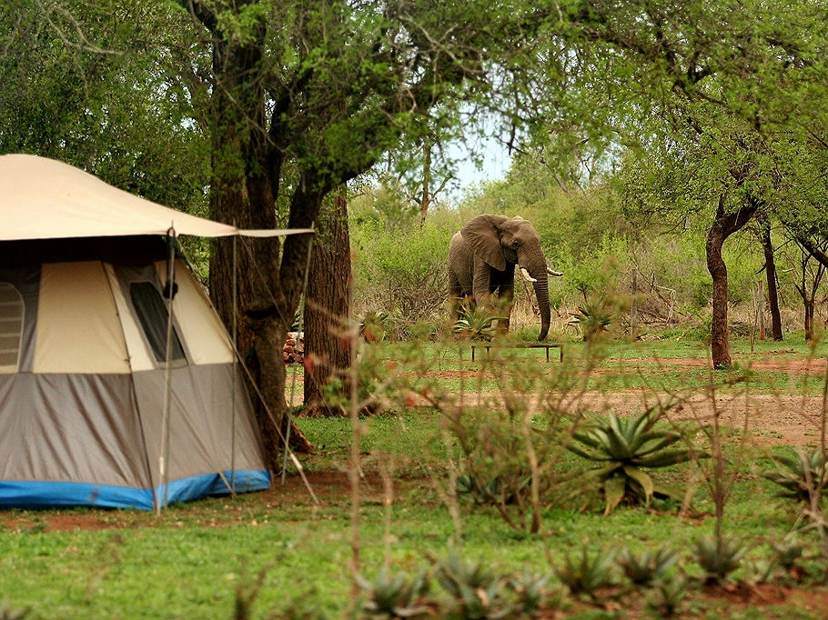 Kamperen in Mlilwane Natuurpark