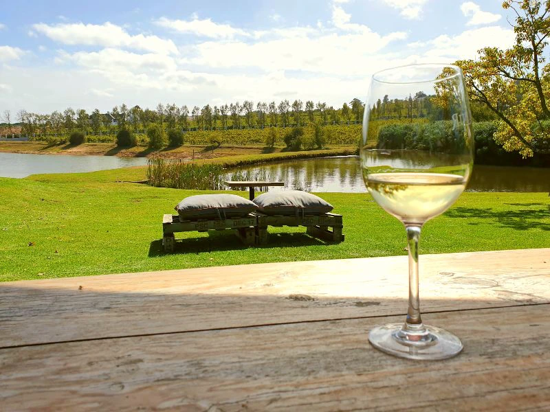 Wijnhuis in Stellenbosch in Zuid-Afrika