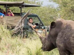 zuid afrika safari hluhluwe
