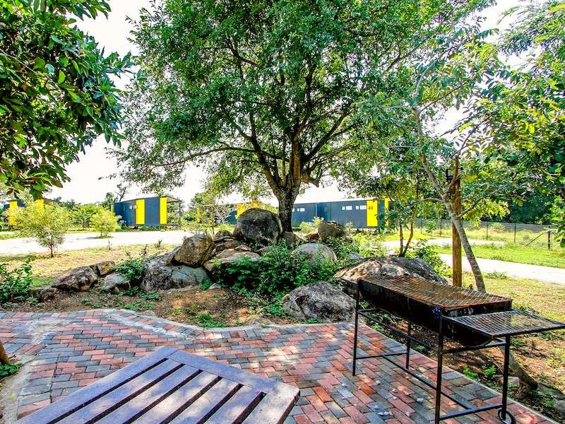 Zuid-Afrika Krugerpark smart optie