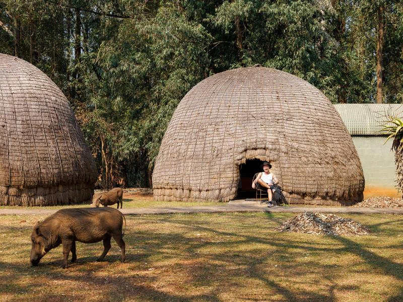 Traditionele ronde hutten in Eswatini