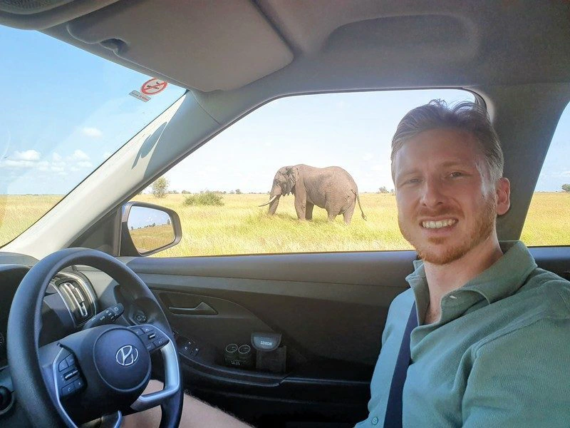 Kruger Selfdrive Olifanten Zuid-Afrika