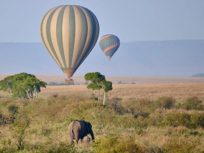 Zuid-afrika ballonvaart safari