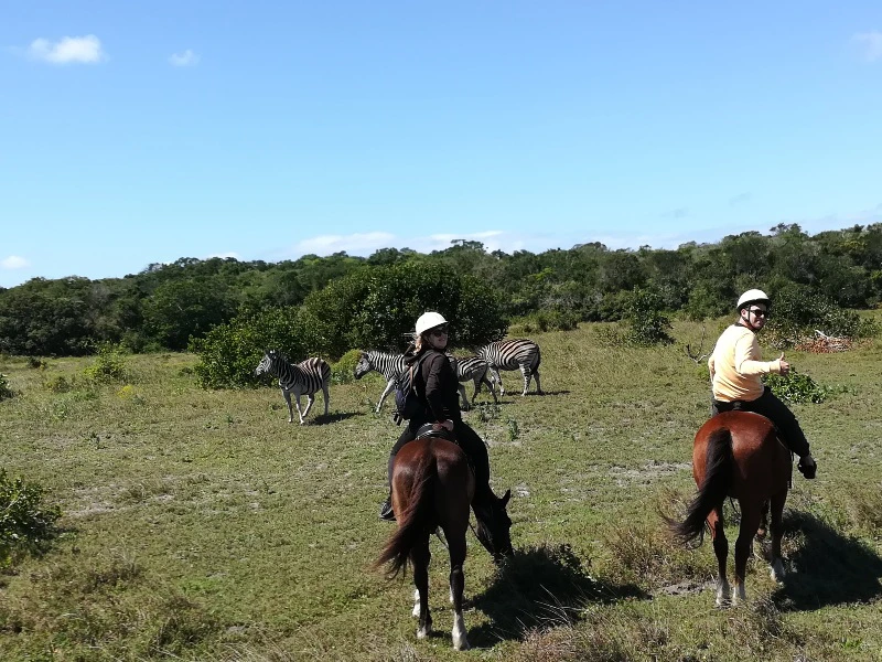 eSwatini paardrijden in Zuid-Afrika