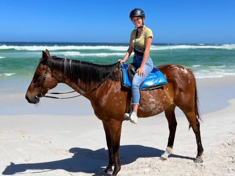 Paardrijden strand St. Lucia