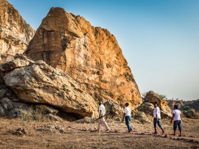 Nature Walk Mapungubwe