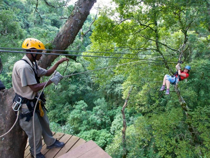 Zipline Drakensbergen