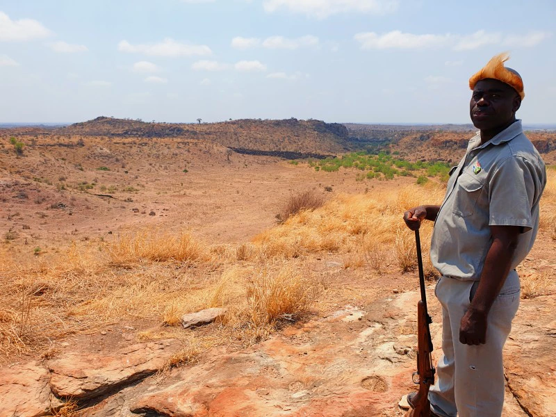 Limpopo Mapungubwe National Park gids