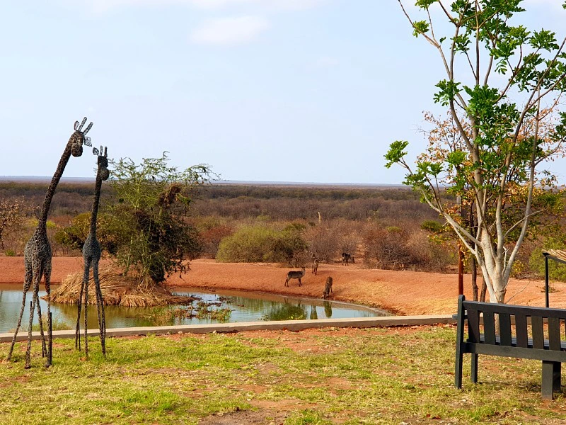 Mapungubwe Limpopo - In stijl tuin met waterhole
