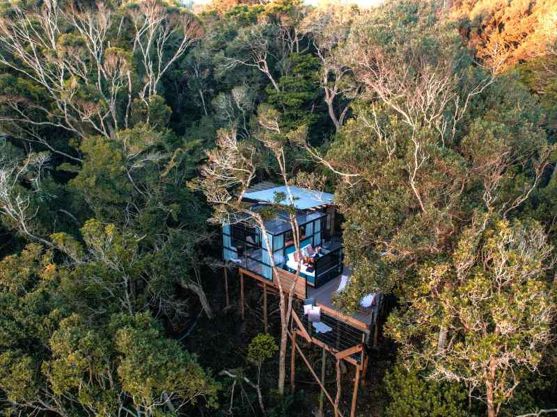 Treehouse in Tsitsikamma Zuid-Afrika
